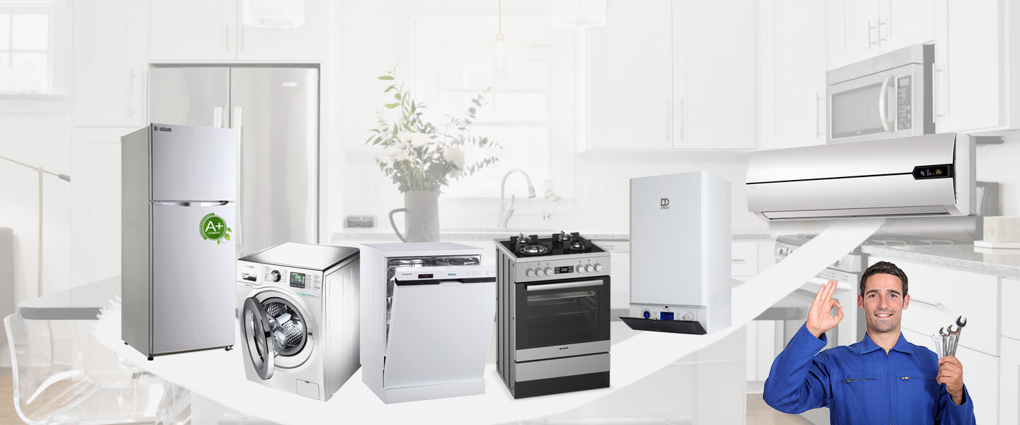 Asarcık Electrolux Servisi